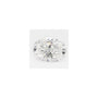 2.06 ct Oval Lab-Grown Diamond – E VS2 – Faceted Cut – GCAL Certified — Sapphire Row