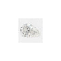 1.54 ct Pear Lab-Grown Diamond – E VVS2 – Faceted Cut – GCAL Certified — Sapphire Row