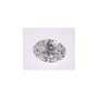 1.59 ct Oval Lab-Grown Diamond – D VVS2 – Faceted Cut – IGI Certified — Sapphire Row