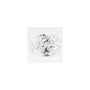 2.09 ct Oval Lab-Grown Diamond – D VS1 – Faceted Cut – GCAL Certified — Sapphire Row