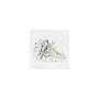 1.30 ct Pear Lab-Grown Diamond – F VS1 – Faceted Cut – GCAL Certified — Sapphire Row