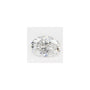0.84 ct Oval Lab-Grown Diamond – D VVS2 – Faceted Cut – GCAL Certified — Sapphire Row