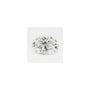 0.57 ct Oval Lab-Grown Diamond – E VVS2 – Faceted Cut – GCAL Certified — Sapphire Row