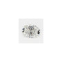 0.57 ct Oval Lab-Grown Diamond – E VVS2 – Faceted Cut – GCAL Certified — Sapphire Row