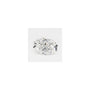 0.58 ct Oval Lab-Grown Diamond – E VVS2 – Faceted Cut – GCAL Certified — Sapphire Row