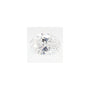 2.07 ct Oval Lab-Grown Diamond – D VS1 – Faceted Cut – GCAL Certified — Sapphire Row