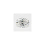 0.58 ct Oval Lab-Grown Diamond – E VS1 – Faceted Cut – GCAL Certified — Sapphire Row