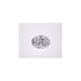 1.55 ct Oval Lab-Grown Diamond – E VS1 – Faceted Cut – IGI Certified — Sapphire Row
