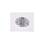 1.55 ct Oval Lab-Grown Diamond – E VS1 – Faceted Cut – IGI Certified — Sapphire Row