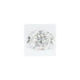 3.04 ct Oval Lab-Grown Diamond – E VS1 – Faceted Cut – GCAL Certified — Sapphire Row