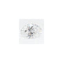 2.05 ct Oval Lab-Grown Diamond – D VS2 – Faceted Cut – GCAL Certified — Sapphire Row