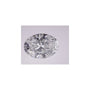 2.83 ct Oval Lab-Grown Diamond – D VS1 – Faceted Cut – IGI Certified — Sapphire Row
