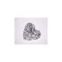 7.01 ct Heart Lab-Grown Diamond – E VVS2 – Faceted Cut – IGI Certified — Sapphire Row