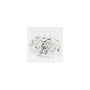 1.54 ct Oval Lab-Grown Diamond – E VS1 – Faceted Cut – GCAL Certified — Sapphire Row