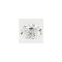 0.57 ct Oval Lab-Grown Diamond – E VVS2 – Faceted Cut – GCAL Certified — Sapphire Row