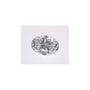 0.74 ct Oval Lab-Grown Diamond – D VS1 – Faceted Cut – IGI Certified — Sapphire Row