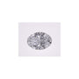 0.77 ct Oval Lab-Grown Diamond – E VVS1 – Faceted Cut – IGI Certified — Sapphire Row