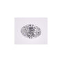 0.83 ct Oval Lab-Grown Diamond – D VVS2 – Faceted Cut – IGI Certified — Sapphire Row