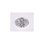 0.94 ct Oval Lab-Grown Diamond – D VVS2 – Faceted Cut – IGI Certified — Sapphire Row