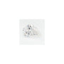 0.92 ct Pear Lab-Grown Diamond – D VVS2 – Faceted Cut – GCAL Certified — Sapphire Row