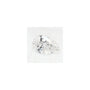 1.29 ct Pear Lab-Grown Diamond – E VS1 – Faceted Cut – GCAL Certified — Sapphire Row
