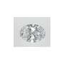 0.74 ct Oval Lab-Grown Diamond – D VVS1 – Faceted Cut – IGI Certified — Sapphire Row