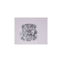 0.97 ct Cushion Lab-Grown Diamond – D VVS1 – Faceted Cut – IGI Certified — Sapphire Row