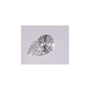 0.55 ct Pear Lab-Grown Diamond – D VS1 – Faceted Cut – IGI Certified — Sapphire Row
