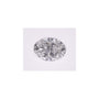 0.58 ct Oval Lab-Grown Diamond – D VVS2 – Faceted Cut – IGI Certified — Sapphire Row