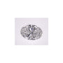 2.59 ct Oval Lab-Grown Diamond – E VVS2 – Faceted Cut – IGI Certified — Sapphire Row