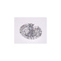 1.52 ct Oval Lab-Grown Diamond – D VS1 – Faceted Cut – IGI Certified — Sapphire Row