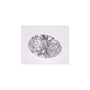 1.53 ct Oval Lab-Grown Diamond – D VVS2 – Faceted Cut – IGI Certified — Sapphire Row