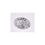 1.53 ct Oval Lab-Grown Diamond – D VVS2 – Faceted Cut – IGI Certified — Sapphire Row