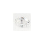 2.88 ct Oval Lab-Grown Diamond – E VVS2 – Faceted Cut – GCAL Certified — Sapphire Row