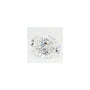 2.59 ct Oval Lab-Grown Diamond – E VS1 – Faceted Cut – GCAL Certified — Sapphire Row
