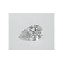 0.53 ct Pear Natural Diamond – G SI1 – Faceted Cut – GIA Certified — Sapphire Row