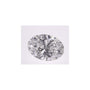 2.04 ct Oval Lab-Grown Diamond – E VVS1 – Faceted Cut – IGI Certified — Sapphire Row