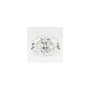 1.06 ct Oval Lab-Grown Diamond – D VS1 – Faceted Cut – GCAL Certified — Sapphire Row