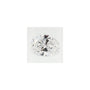 0.70 ct Oval Lab-Grown Diamond – D VS2 – Faceted Cut – GCAL Certified — Sapphire Row