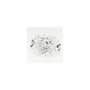 0.79 ct lab-grown diamond, oval cut | Sapphire Row