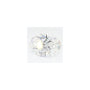 2.40 ct Oval Lab-Grown Diamond – E VS2 – Faceted Cut – GCAL Certified — Sapphire Row