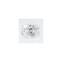 1.02 ct Oval Lab-Grown Diamond – D VS1 – Faceted Cut – GCAL Certified — Sapphire Row