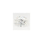 2.88 ct Oval Lab-Grown Diamond – E VS1 – Faceted Cut – GCAL Certified — Sapphire Row