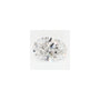 0.91 ct Oval Lab-Grown Diamond – F VS1 – Faceted Cut – GCAL Certified — Sapphire Row