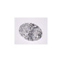 2.71 ct Oval Lab-Grown Diamond – D VS2 – Faceted Cut – IGI Certified — Sapphire Row
