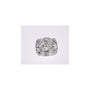 1.29 ct Elongated Cushion Natural Diamond – H VS2 – Faceted Cut – GIA Certified — Sapphire Row