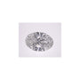 2.78 ct Oval Lab-Grown Diamond – E VS1 – Faceted Cut – IGI Certified — Sapphire Row
