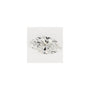 4.78 ct Marquise Lab-Grown Diamond – E VS1 – Faceted Cut – GCAL Certified — Sapphire Row