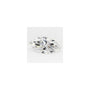 2.25 ct Marquise Lab-Grown Diamond – D VVS2 – Faceted Cut – GCAL Certified — Sapphire Row