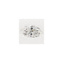 2.85 ct Marquise Lab-Grown Diamond – E VS1 – Faceted Cut – GCAL Certified — Sapphire Row